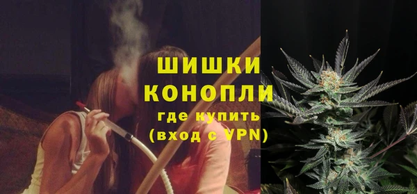 хмурый Гусь-Хрустальный