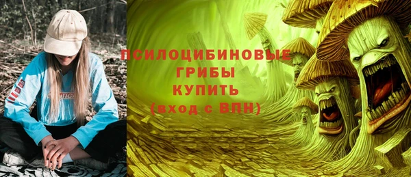 соль ск Горняк