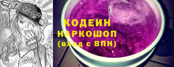 хмурый Гусь-Хрустальный