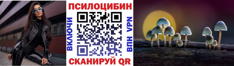 Купить где  Кола  Псилоцибиновые грибы прущие грибы 